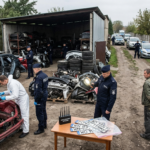 rozbita dziupla samochodowa